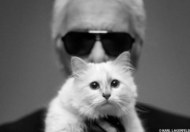 Choupette, le chat de Karl Lagerfeld voyage en jet privé